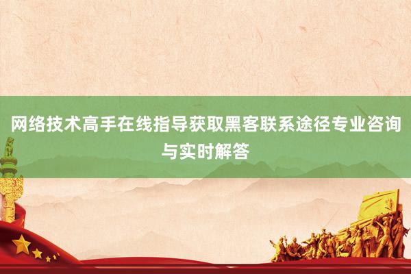 网络技术高手在线指导获取黑客联系途径专业咨询与实时解答