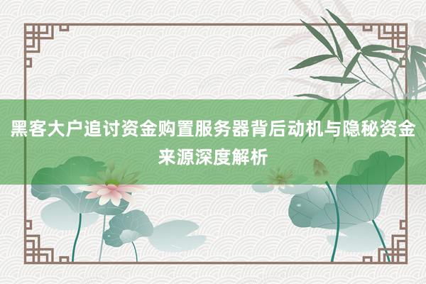 黑客大户追讨资金购置服务器背后动机与隐秘资金来源深度解析