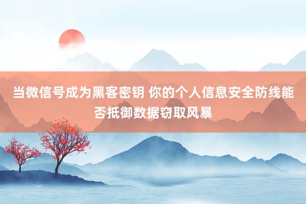 当微信号成为黑客密钥 你的个人信息安全防线能否抵御数据窃取风暴