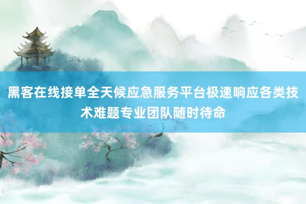 黑客在线接单全天候应急服务平台极速响应各类技术难题专业团队随时待命